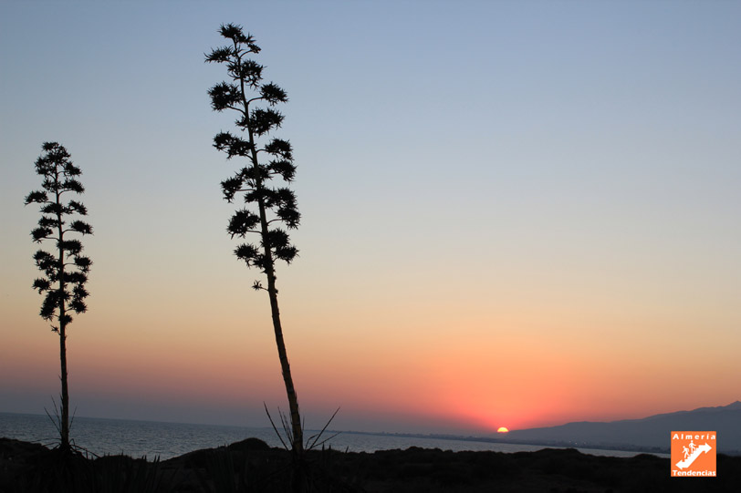 Atardecer El Toyo El sol se pone en la ciudad de Almería. Vista desde El Toyo