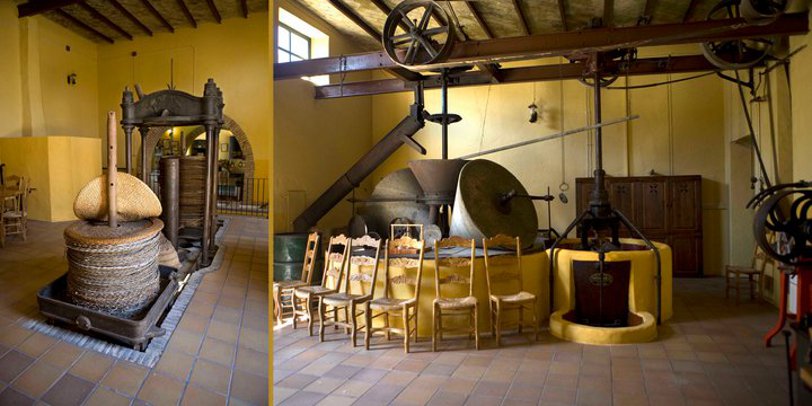 Almazara Oro del Desierto en Tabernas, Almería Almazara Oro del Desierto en Tabernas, Almería